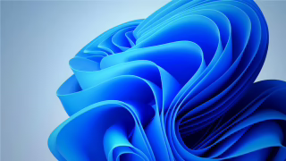 کاور رسمی Windows 11 Home OEM Key