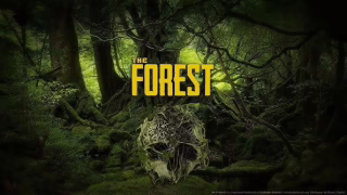 کاور رسمی The Forest PC Steam Account