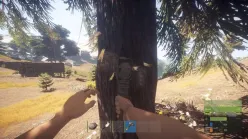 بازی اورجینال Rust نسخه استیم