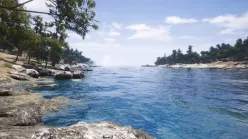 بازی اورجینال SCUM برای استیم