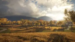 بازی اورجینال The Hunter: Call of the Wild برای استیم