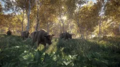 بازی اورجینال The Hunter: Call of the Wild برای استیم