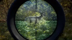 بازی اورجینال The Hunter: Call of the Wild برای استیم