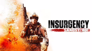 Insurgency: Sandstorm cover